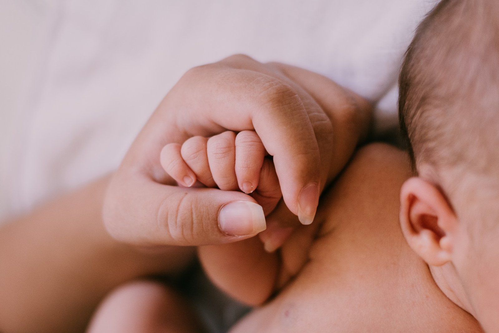 Cálculo subsidio por incapacidad laboral de origen maternal y prestación Administradora de Fondos de Cesantía (AFC)