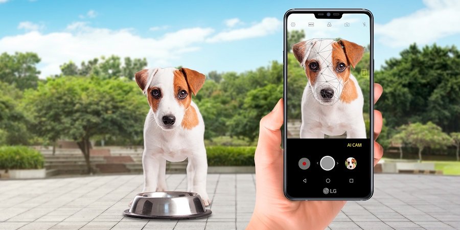 Conoce la aplicación que encuentra perros perdidos