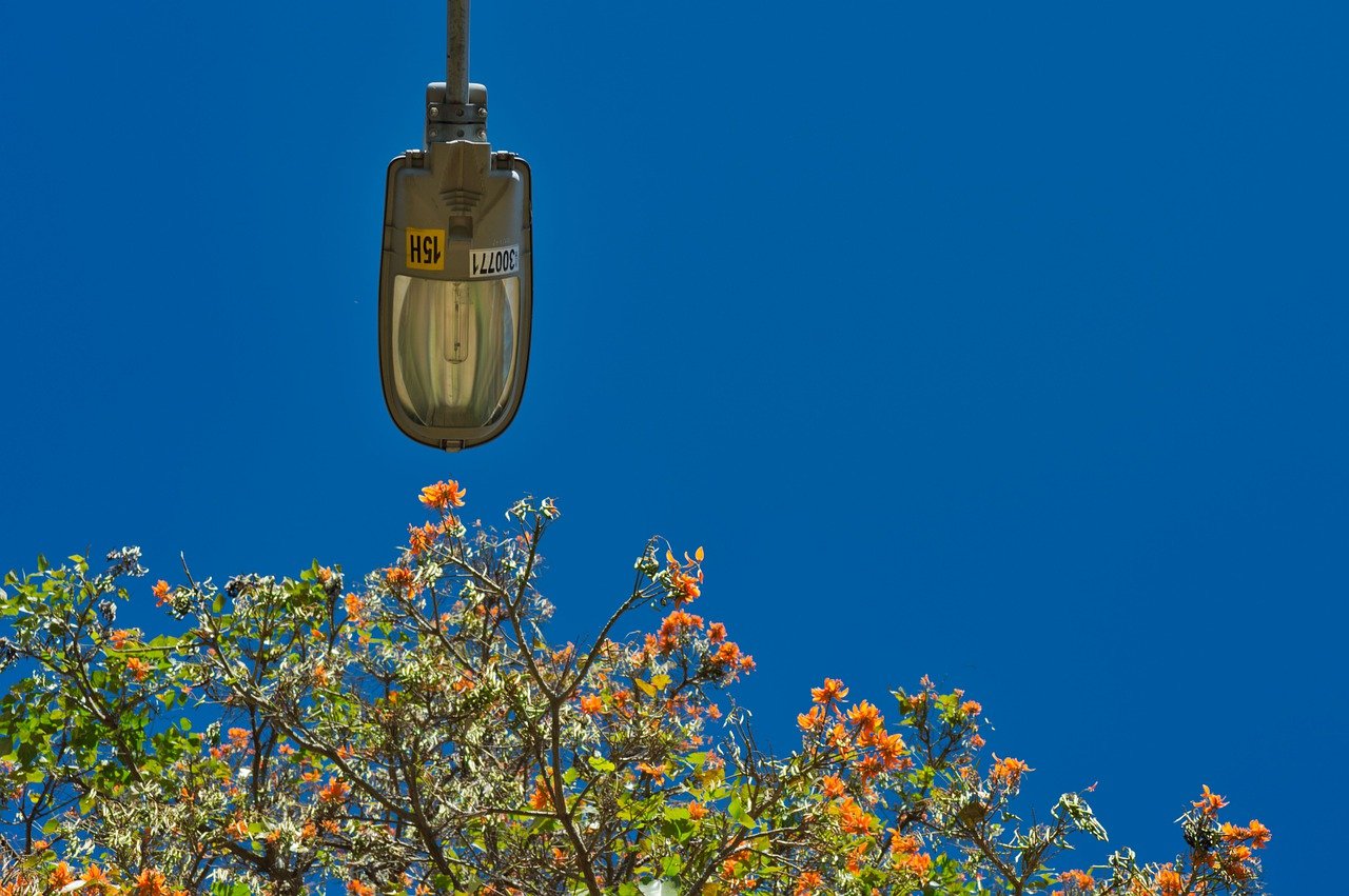 Caso Luminarias Led: Intelecom pagó millonaria coima a ex asesor municipal en Chillán