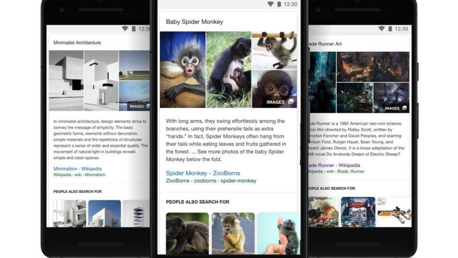 Google mostrará videos de Reels y TikTok en sus resultados