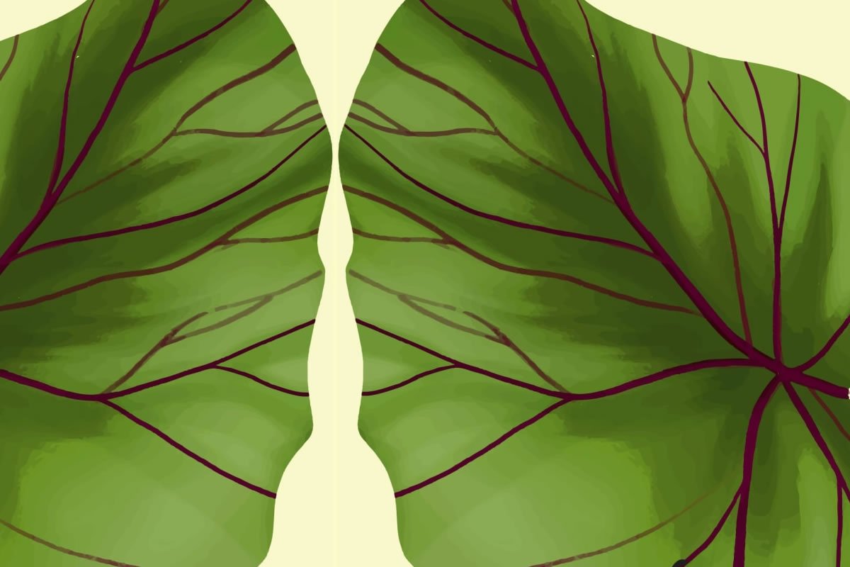 “Nervadura”, de Roberto Oropeza: Versos de savia fresca para follajes marchitos