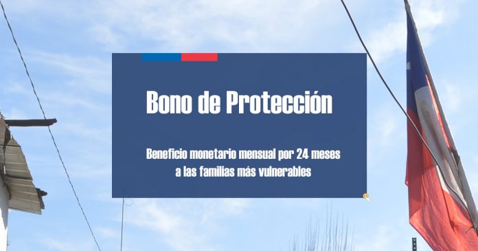 Bono de Protección o Dueña de Casa