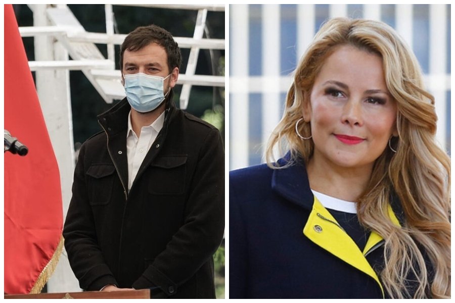 ¿Dónde irán a parar los peluches de Cathy Barriga?