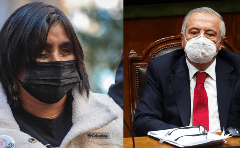 Fabiola Campillai y Jaime Mañalich serán candidatos al Senado