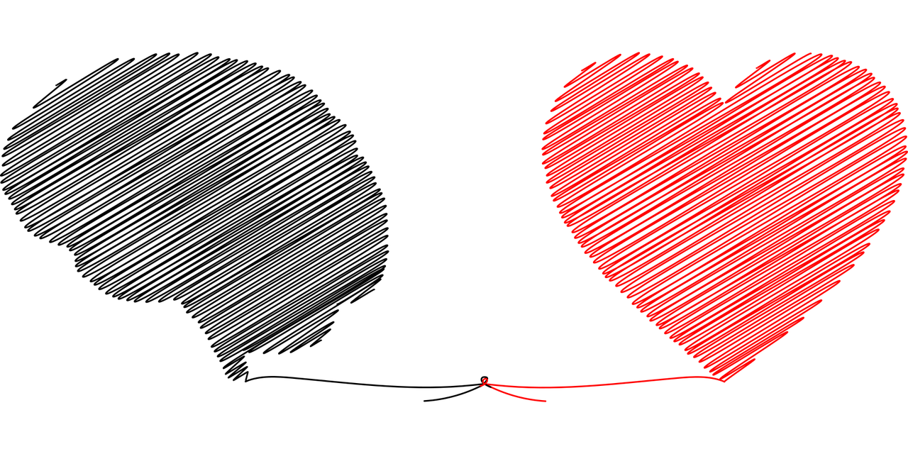 ¿Se puede evitar el envejecimiento del cerebro?