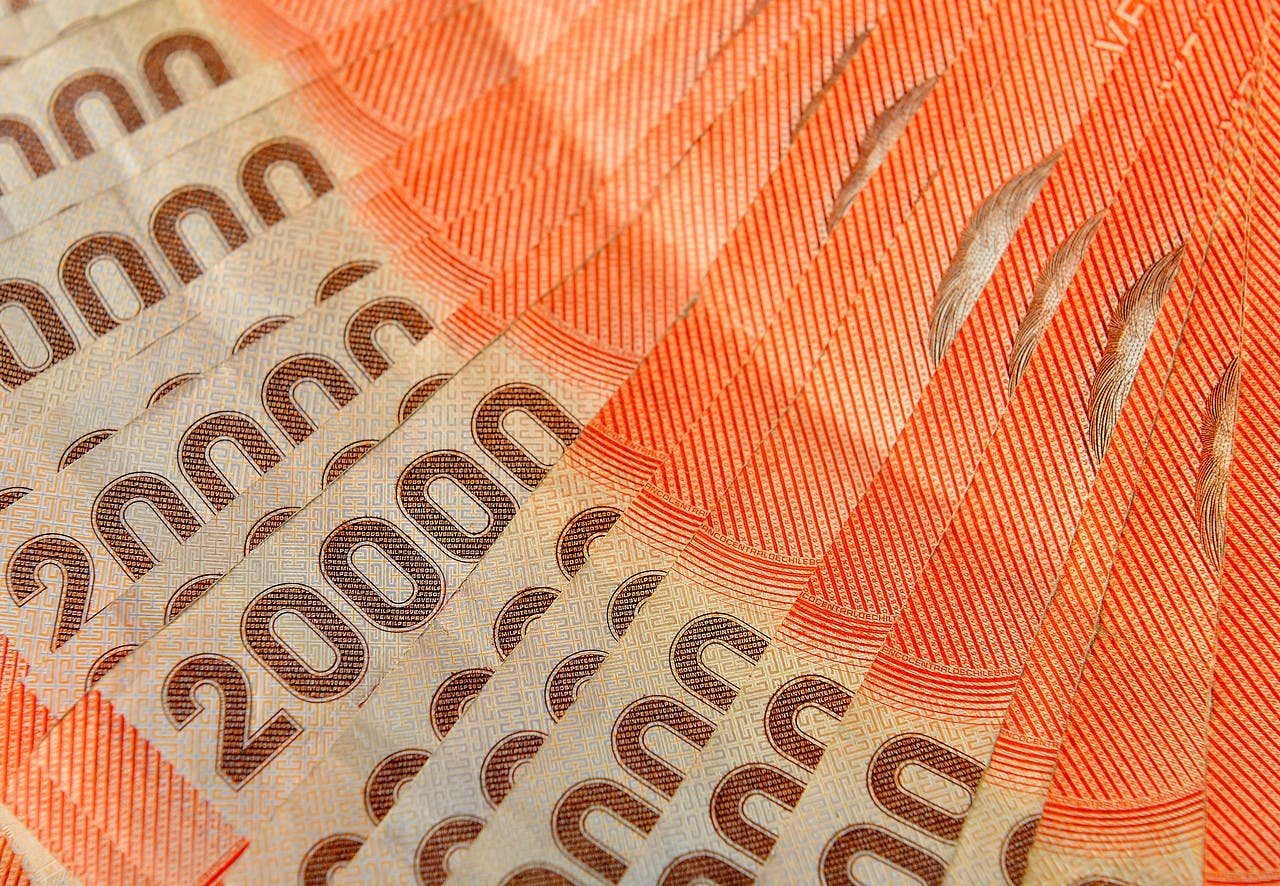 ¿A cuántos bonos y subsidios puedes acceder? Revísalo aquí