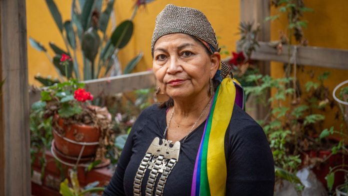 Elisa Loncon aseguró que la nueva Constitución debería incluir la autonomía territorial mapuche