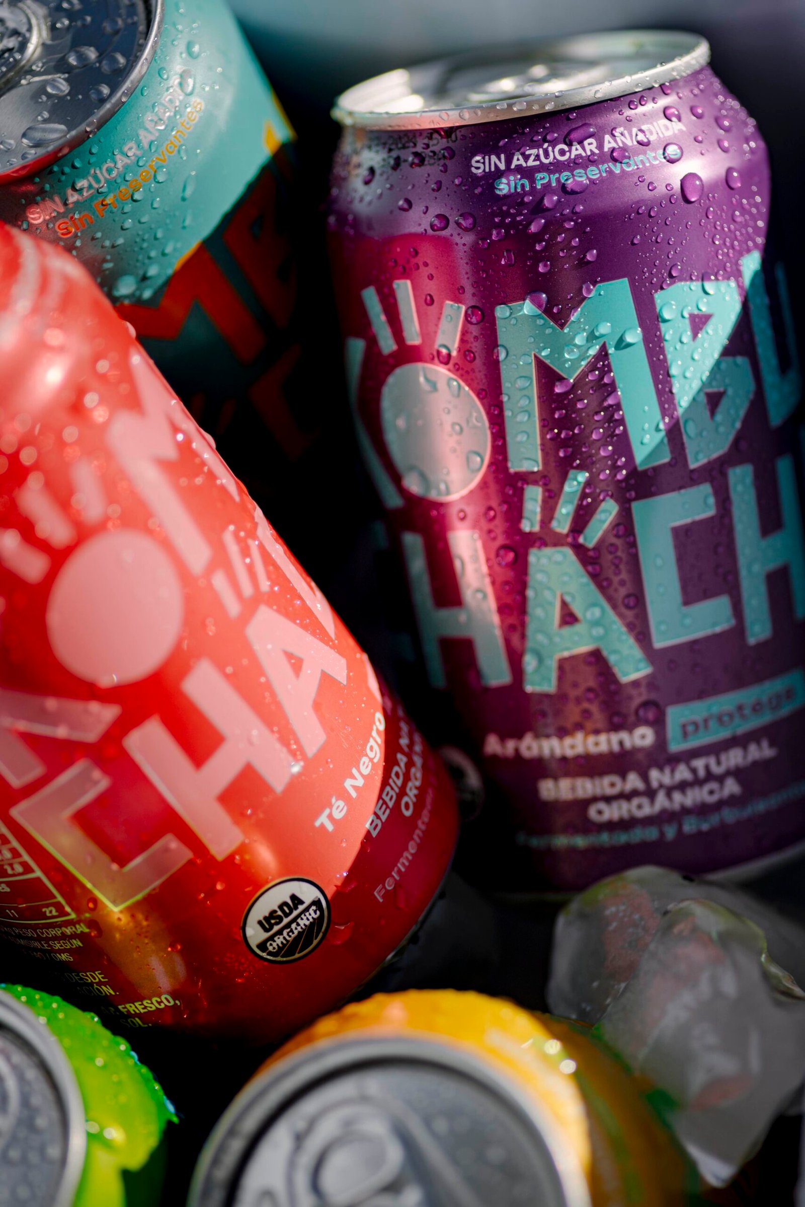 ¿Cómo elegir la kombucha perfecta?