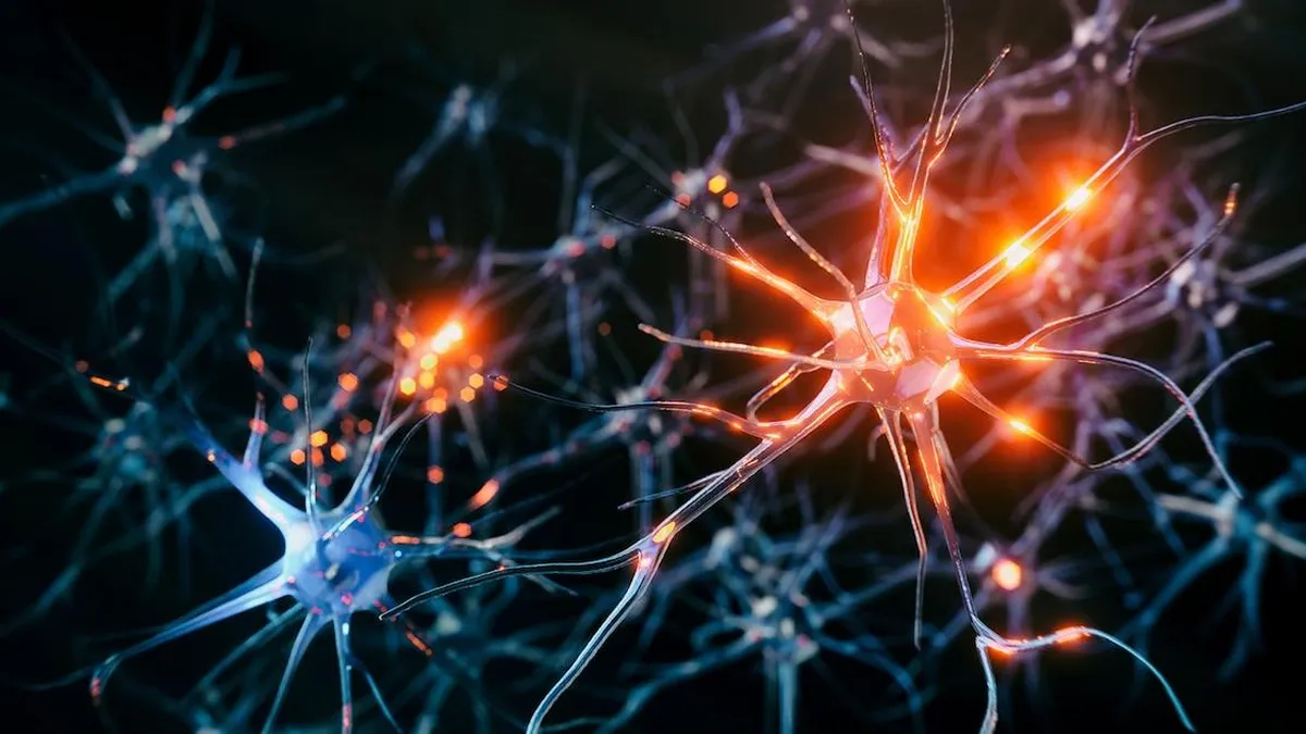 Estudio revela dudas sobre fármacos comunes para un tipo de esclerosis múltiple