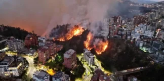 Incendios forestales en Quito: un panorama alarmante que exige atención urgente.