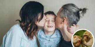 Explorando la sorprendente conexión entre los besos y el vello corporal.