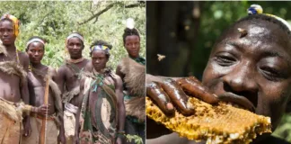 Los Hadza: una cultura que desafía el tiempo con caza y recolección.