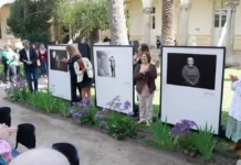 Retratos que revelan la lucha y esperanza de pacientes con leucemia mieloide crónica.