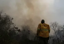 Incendios en Bolivia: 7 claves para entender la crisis ambiental actual.