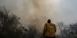 Incendios en Bolivia: 7 claves para entender la crisis ambiental actual.