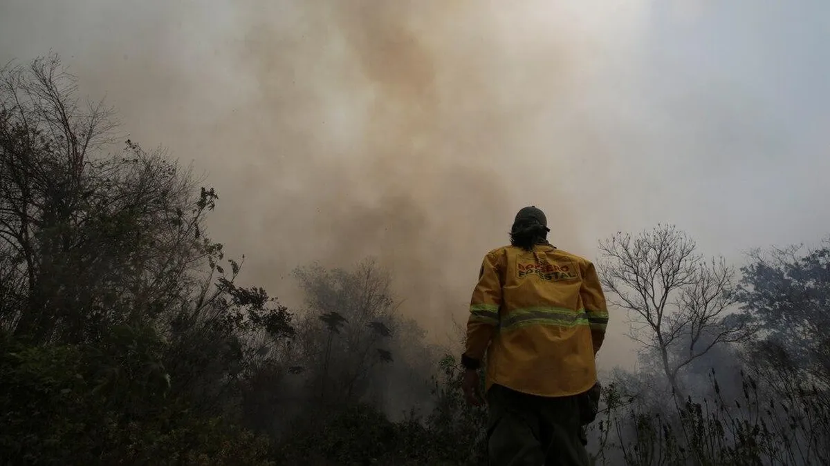 Incendios en Bolivia: claves para entender la crisis ambiental que arrasa el país