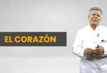 Descubre los 7 enemigos del corazón y cómo proteger tu salud cardiovascular.