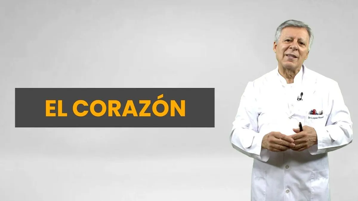 Siete factores de riesgo que amenazan la salud de tu corazón y cómo prevenirlos
