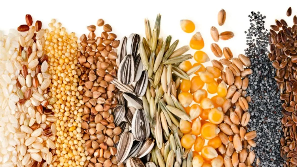 Semillas ricas en magnesio: aliados esenciales para la salud y la producción de proteínas