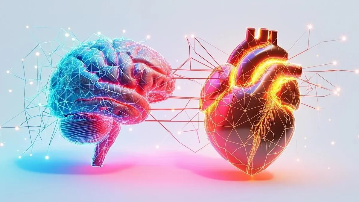 Explora los 6 tipos de amor y su impacto en nuestro cerebro según nueva investigación.