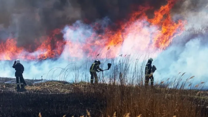 Incendios forestales en el oeste de EE. UU. amenazan a comunidades y ecosistemas.