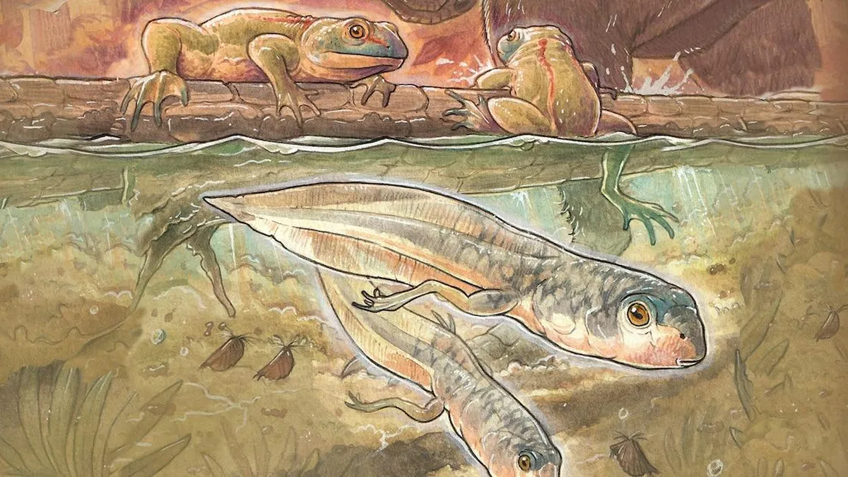 Descubren el renacuajo más antiguo del mundo en la Patagonia, un hallazgo que sorprende a la ciencia