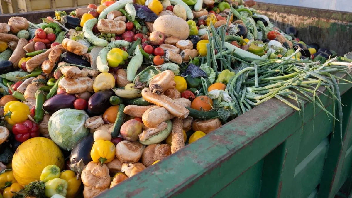 Condenan a hombre en Austria por rescatar alimentos de un basurero para ayudar a los necesitados
