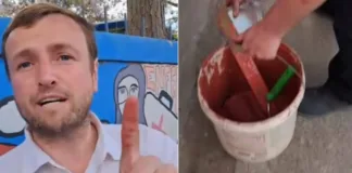 Candidato a concejal borra mural del perro matapacos en Melipilla