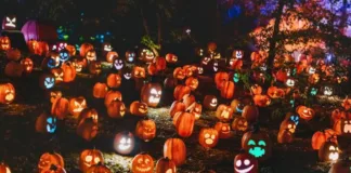 Descubre los mejores planes de terror en Santiago para Halloween 2024.