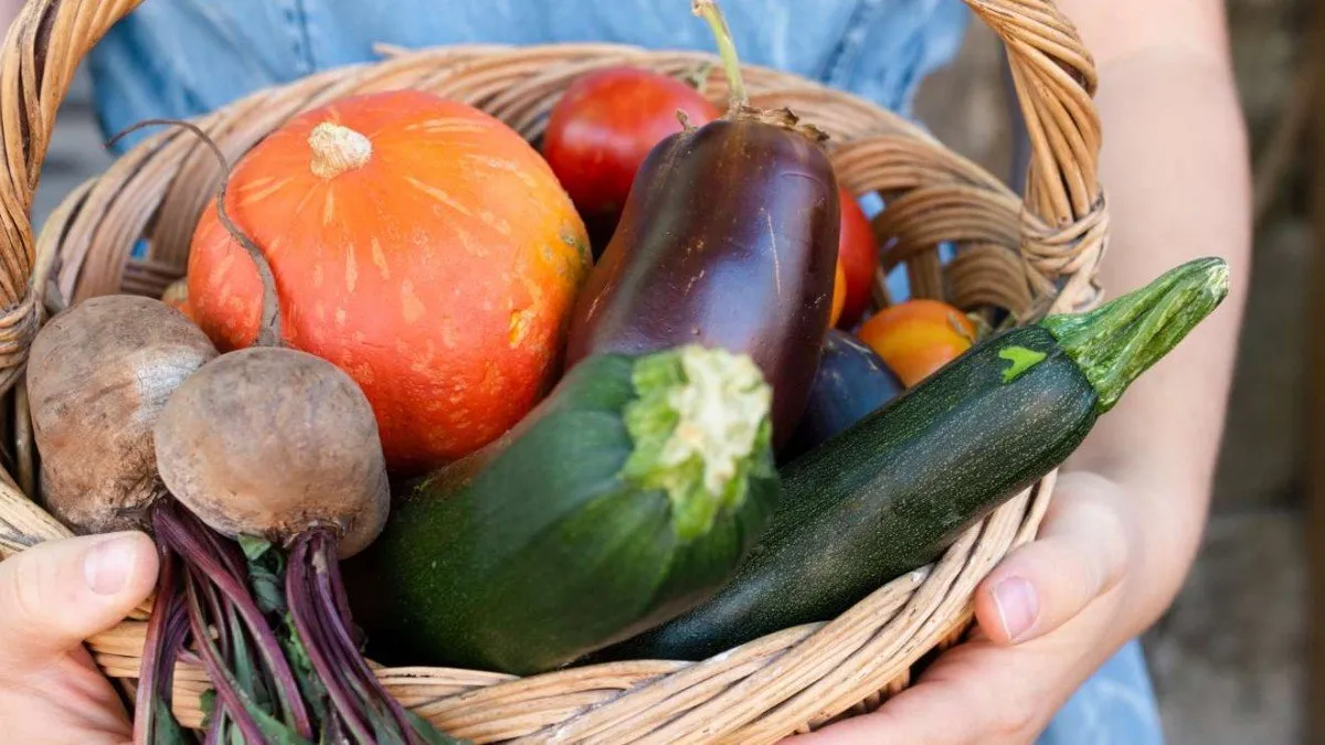 Futuro incierto del Bolsillo Familiar Electrónico tras su último pago en septiembre