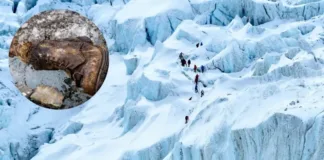 Bota hallada en el Everest podría resolver un enigma de más de un siglo.