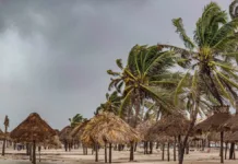 Florida se prepara para el huracán Milton: posible tormenta histórica en camino.