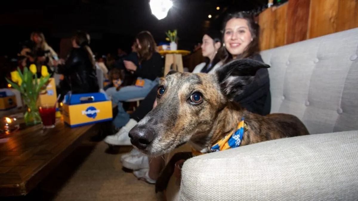 Encuentra la mascota ideal para ti con nuestro sitio de adopción personalizado.