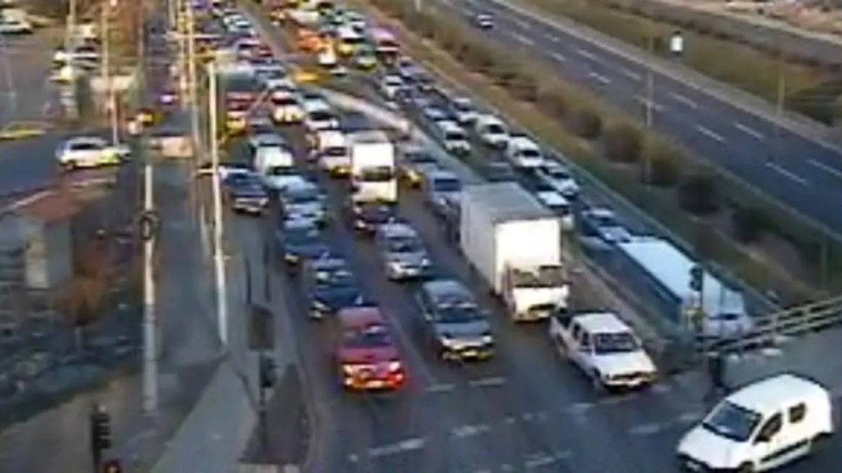 Descubre los 50 puntos clave para evitar multas en vías exclusivas.