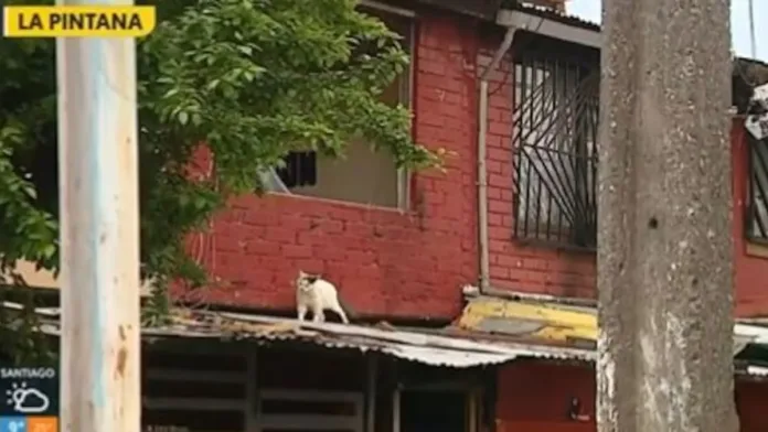 Una bala perdida impactó en la cama de una niña tras un tiroteo indiscriminado.