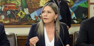 Diputada Marlene Pérez critica la inacción de la justicia ante la alerta fronteriza.