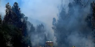 Incendio en Valparaíso: se ordena evacuación en Viña del Mar por seguridad.