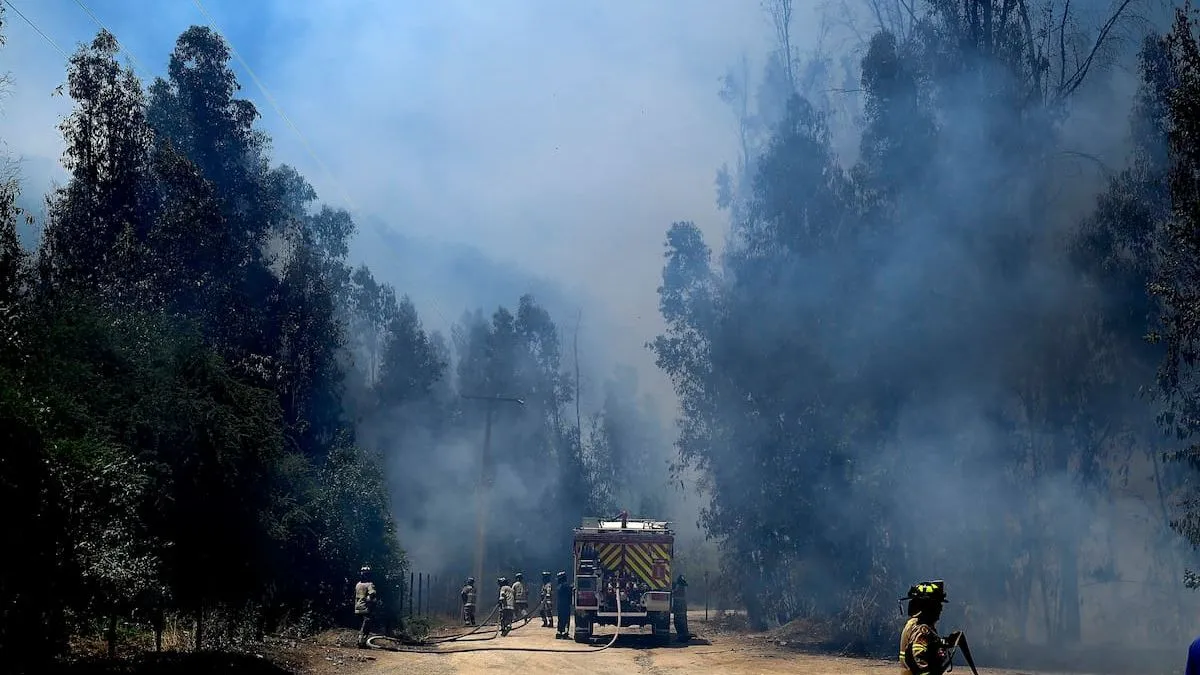 Incendio en Valparaíso: se ordena evacuación en Viña del Mar por seguridad.