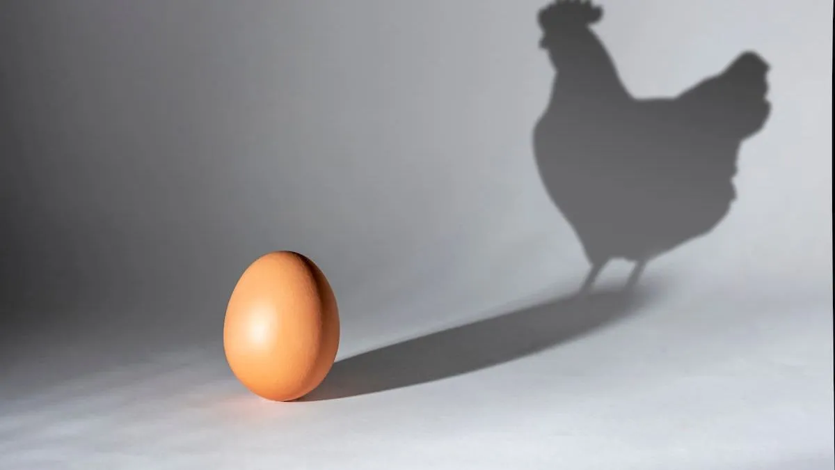 ¿El huevo o la gallina? Un estudio revela que el desarrollo multicelular comenzó antes de los animales