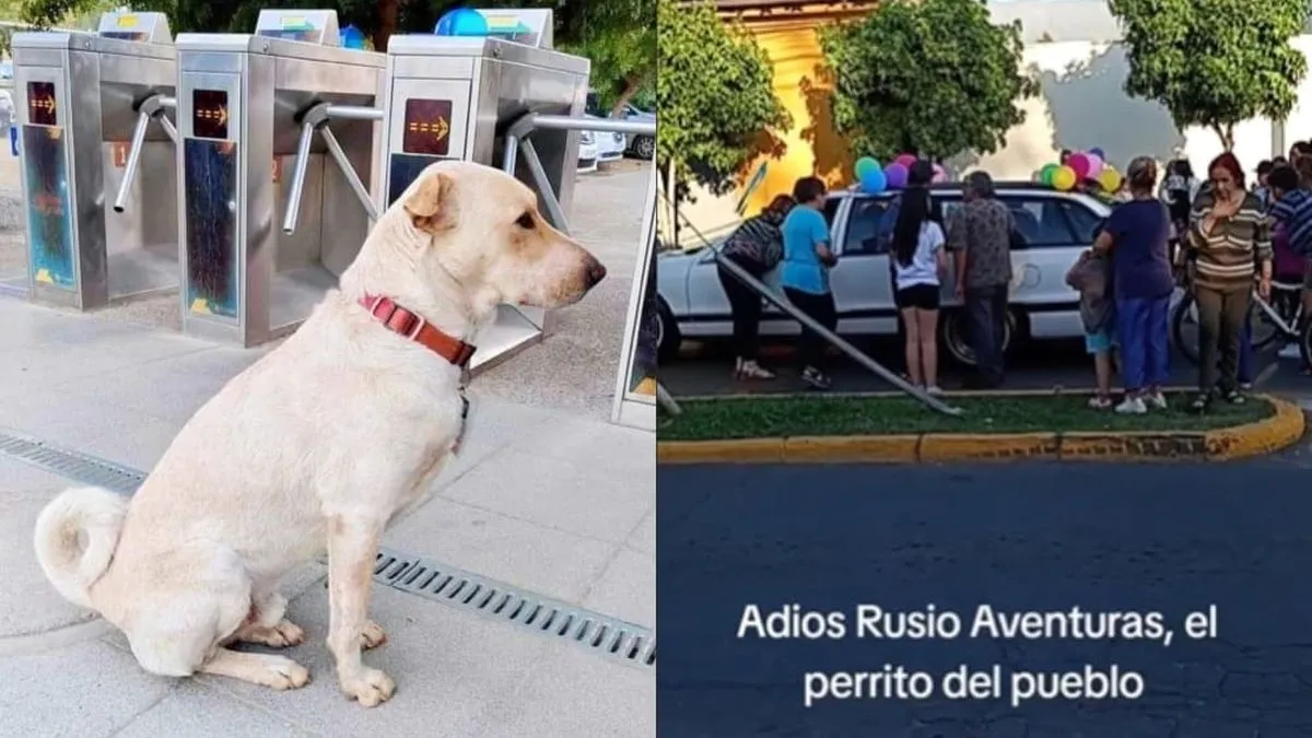 La conmovedora despedida de Rusio Aventuras, el perrito viajero de Mostazal