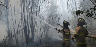 Evacuaciones en Quilpué y Santo Domingo por incendios: alerta roja de Senapred.