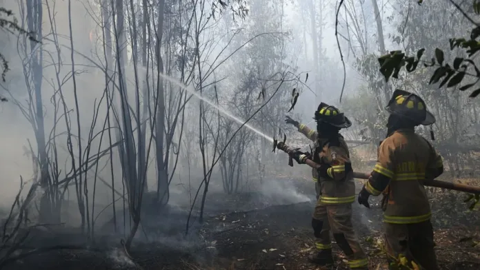 Incendio en Hijuelas consume 74 hectáreas; se mantiene contenido bajo alerta roja.