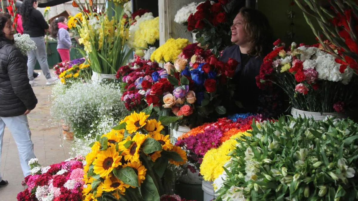 Locatarios de la Pérgola de la Flores denuncian competencia desleal en Valdivia.