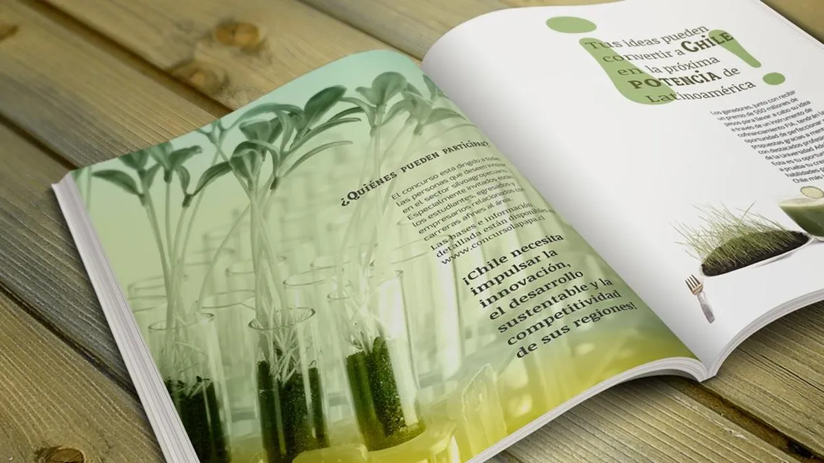 Premios literarios 2024: descubre a los autores que brillaron en la trigésima segunda edición