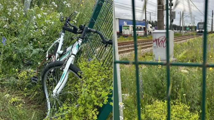 Ciclista atropellado por tren en San Pedro de la Paz; servicio interrumpido temporalmente.