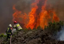 22 comunas de Chile en alerta roja por riesgo de incendios forestales.