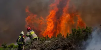 22 comunas de Chile en alerta roja por riesgo de incendios forestales.