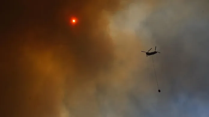 Alianza Conaf-Corma: impulsando la investigación para prevenir incendios forestales.