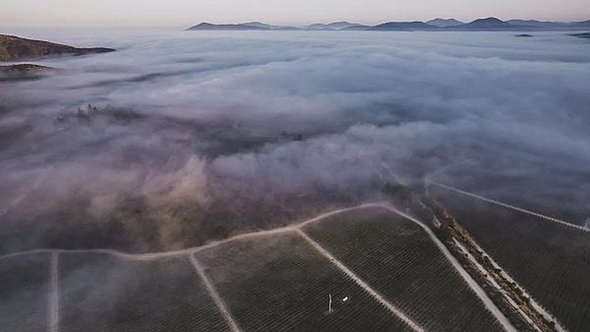 Concha y Toro: Cuatro trimestres de crecimiento en ventas consecutivas.