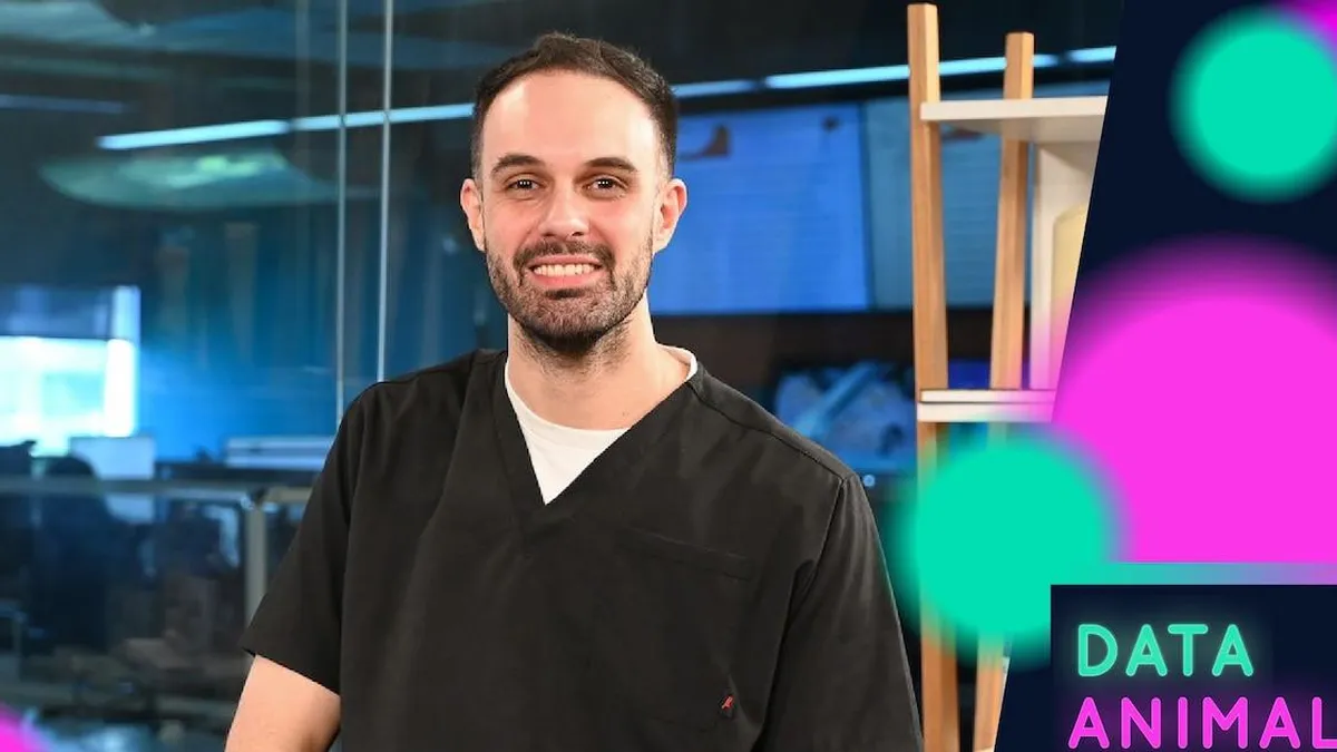 Accidentes comunes en mascotas: ¿cómo actuar ante emergencias veterinarias?